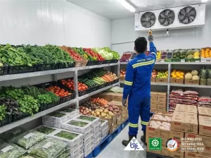 Cold Storage: Solusi Penyimpanan untuk Produk Sensitif Anda